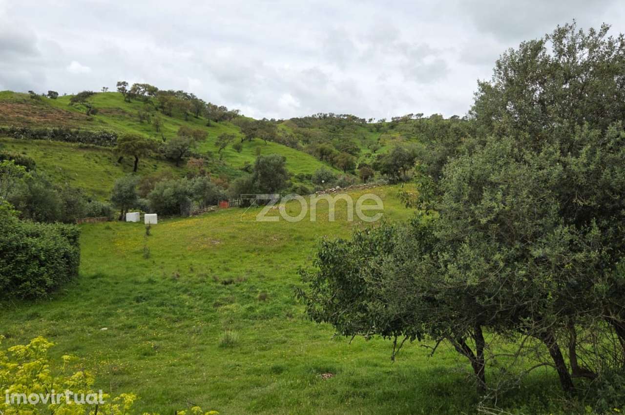 Terreno Rústico - Cultura Arvense - Grande imagem: 3/4