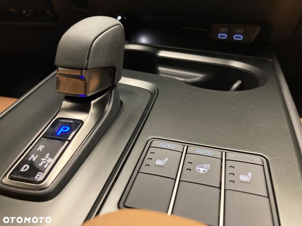 Lexus UX 300h F Sport Design - 16