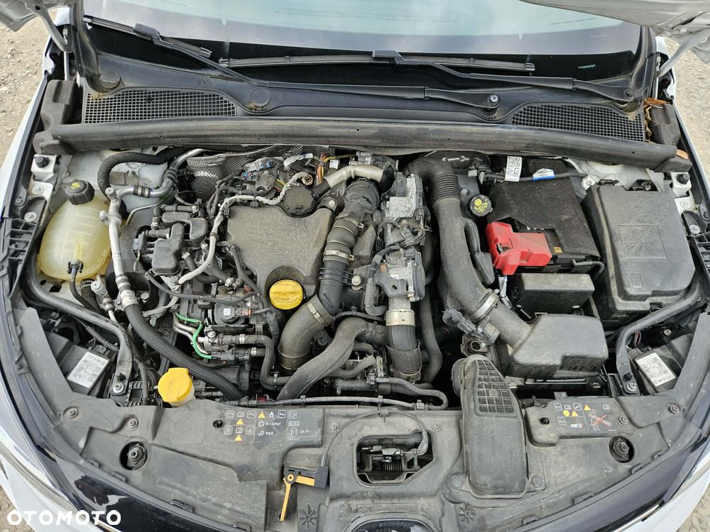 Renault Clio BLUE dCi 85 BUSINESS EDITION - 12