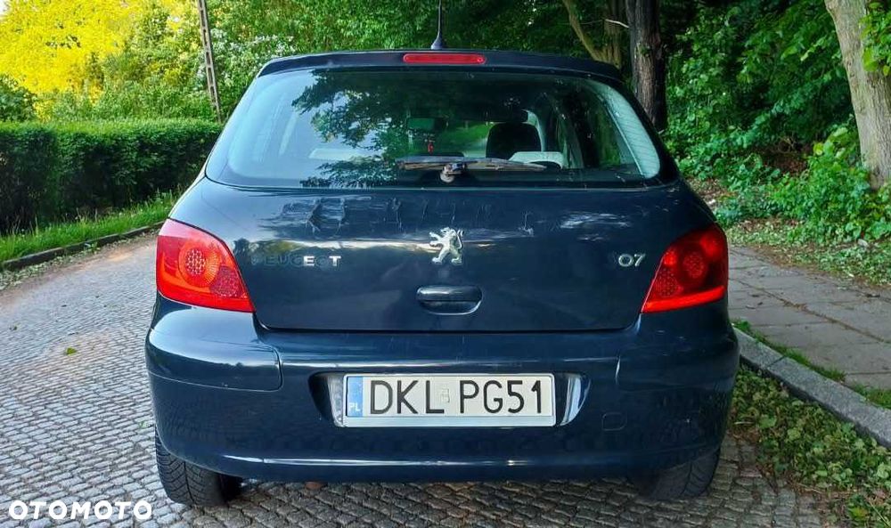 Peugeot 307 - 4