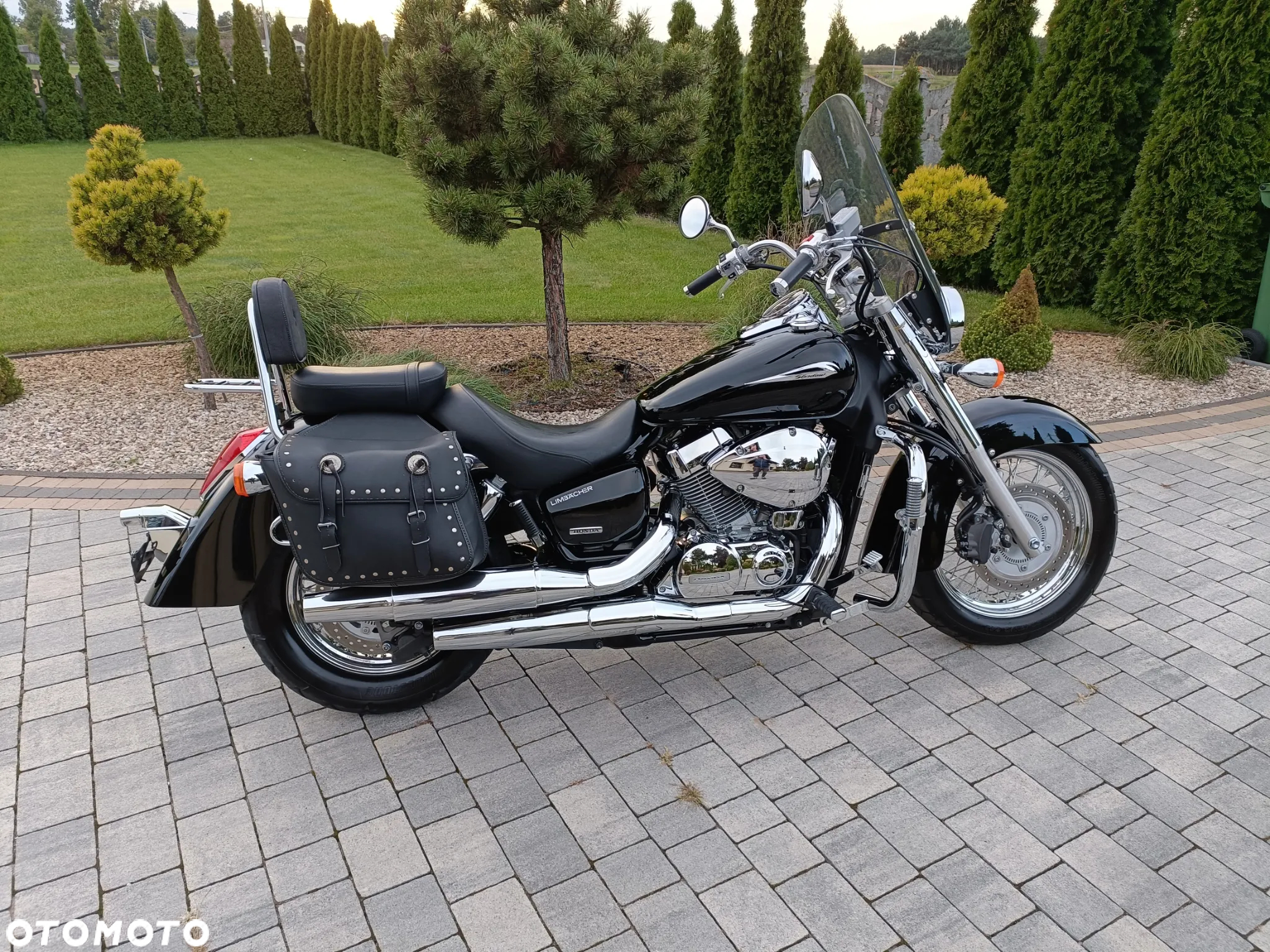 Honda Shadow - 11
