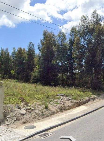 Terreno em sousela - Grande imagem: 3/4