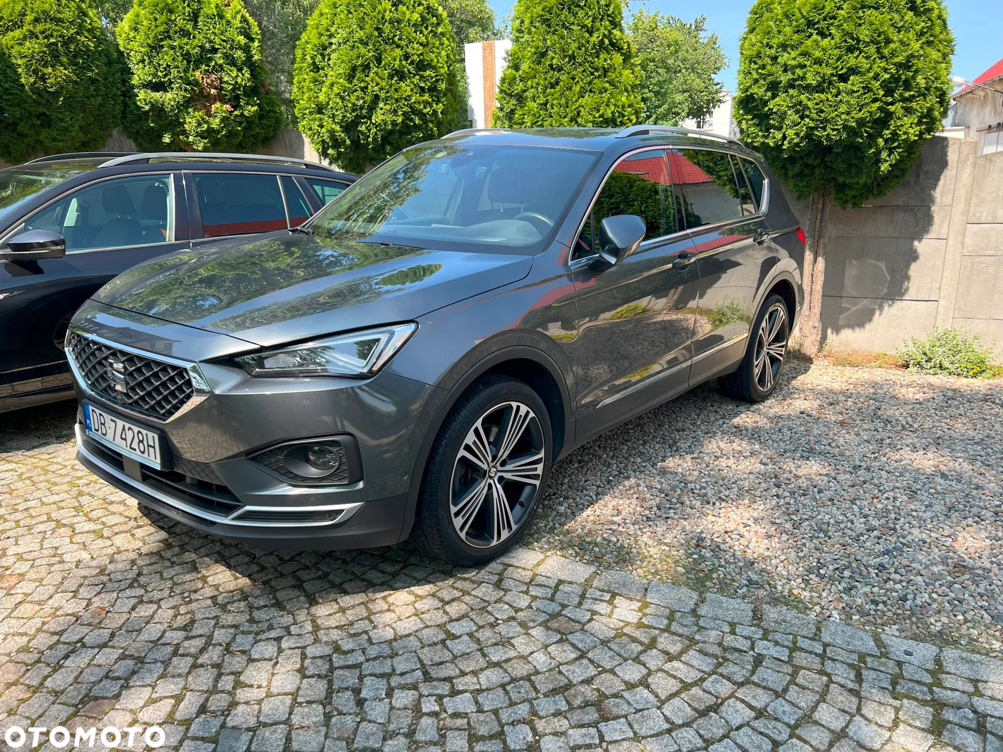 Seat Tarraco 2.0 Eco TSI Xcellence S&S 4Drive DSG - 1