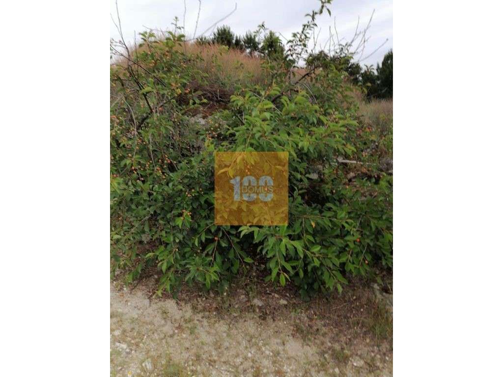 Terreno em Larinho - Grande imagem: 2/22