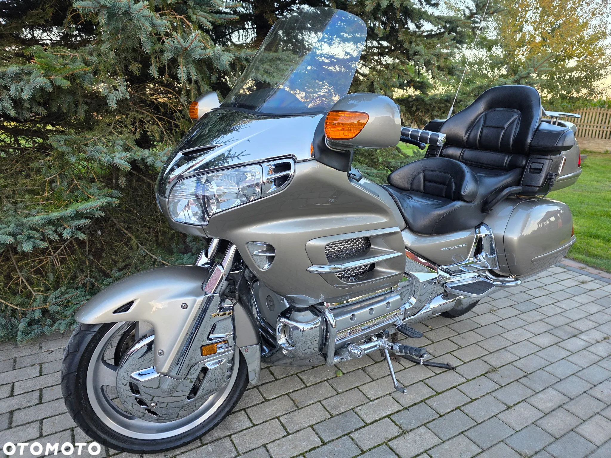 Honda GL - 20