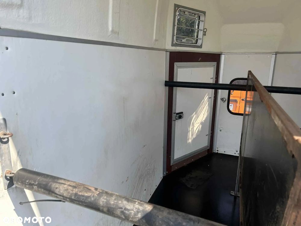 Brenderup 2000 kg do transportu koni 2 konna - 13