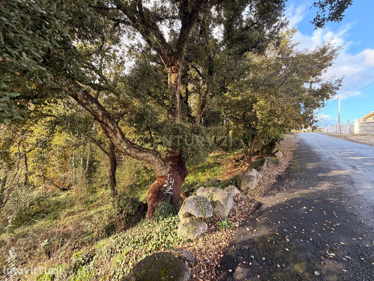 Terreno com 2,65 hectares e duas moradias em pedra para restaurar — Ab - Grande imagem: 5/22