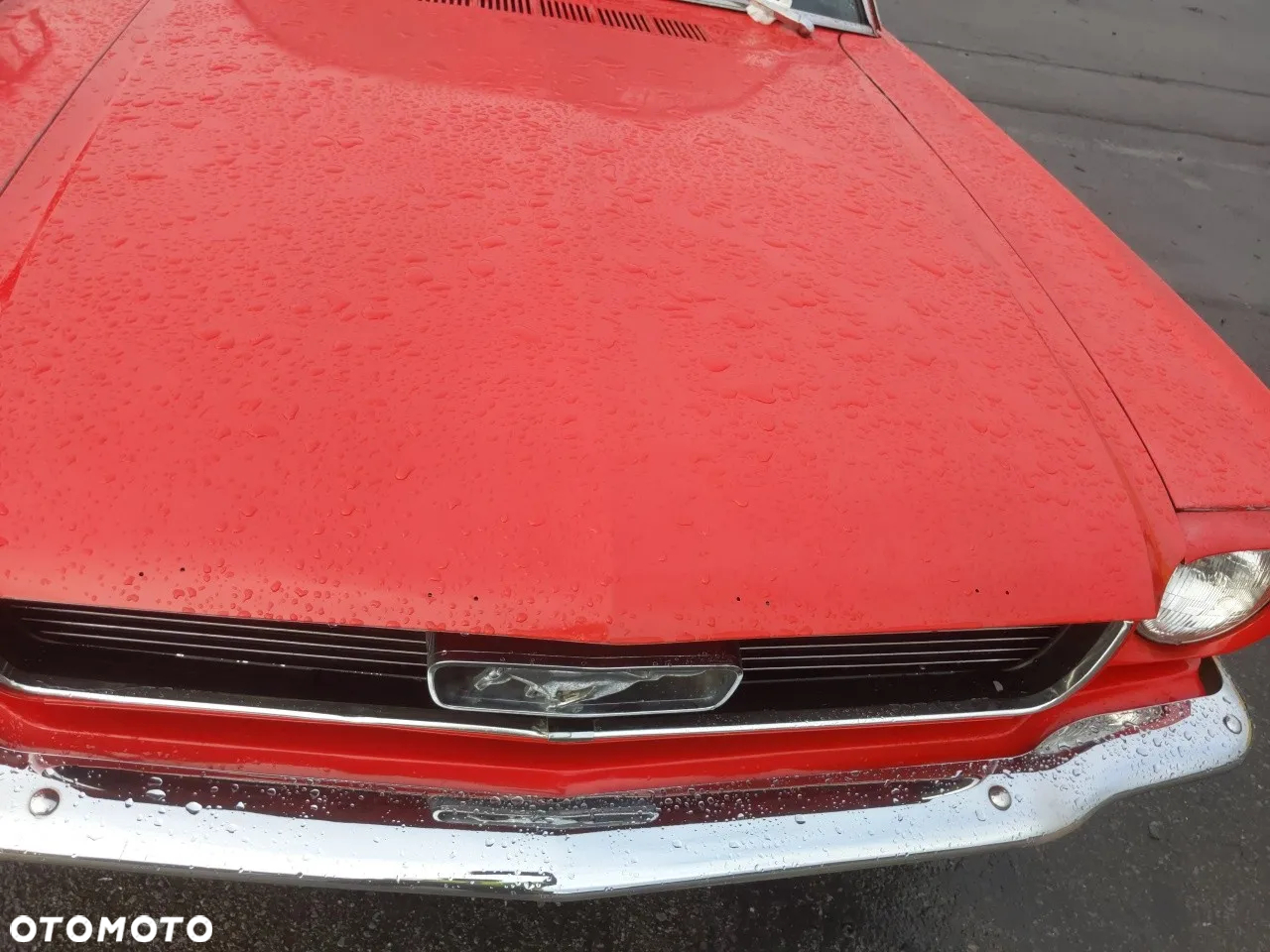 Ford Mustang - 24