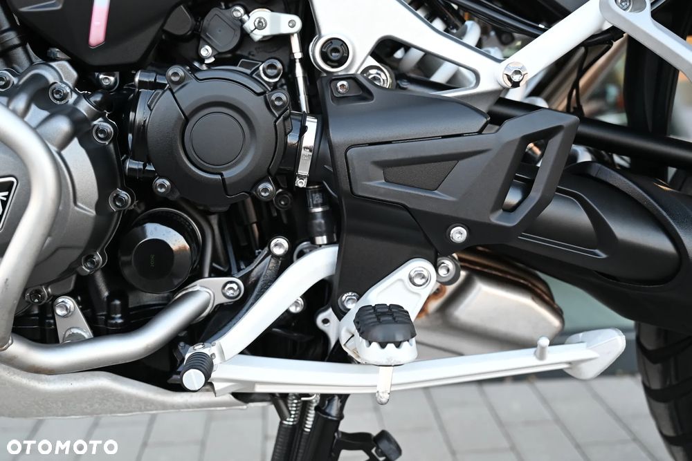 Triumph Tiger - 19