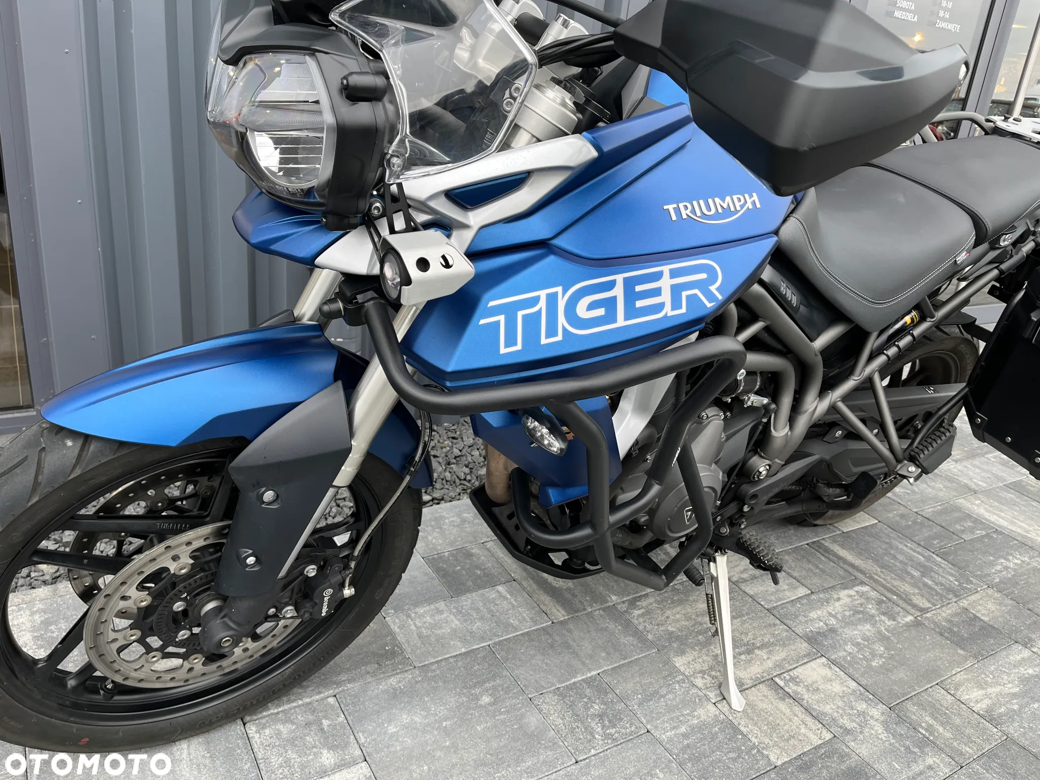 Triumph Tiger