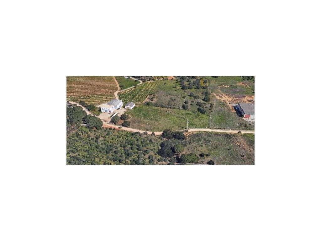 Armazém Comercial/Industrial com Terreno de 1 Hectare! - Grande imagem: 2/3