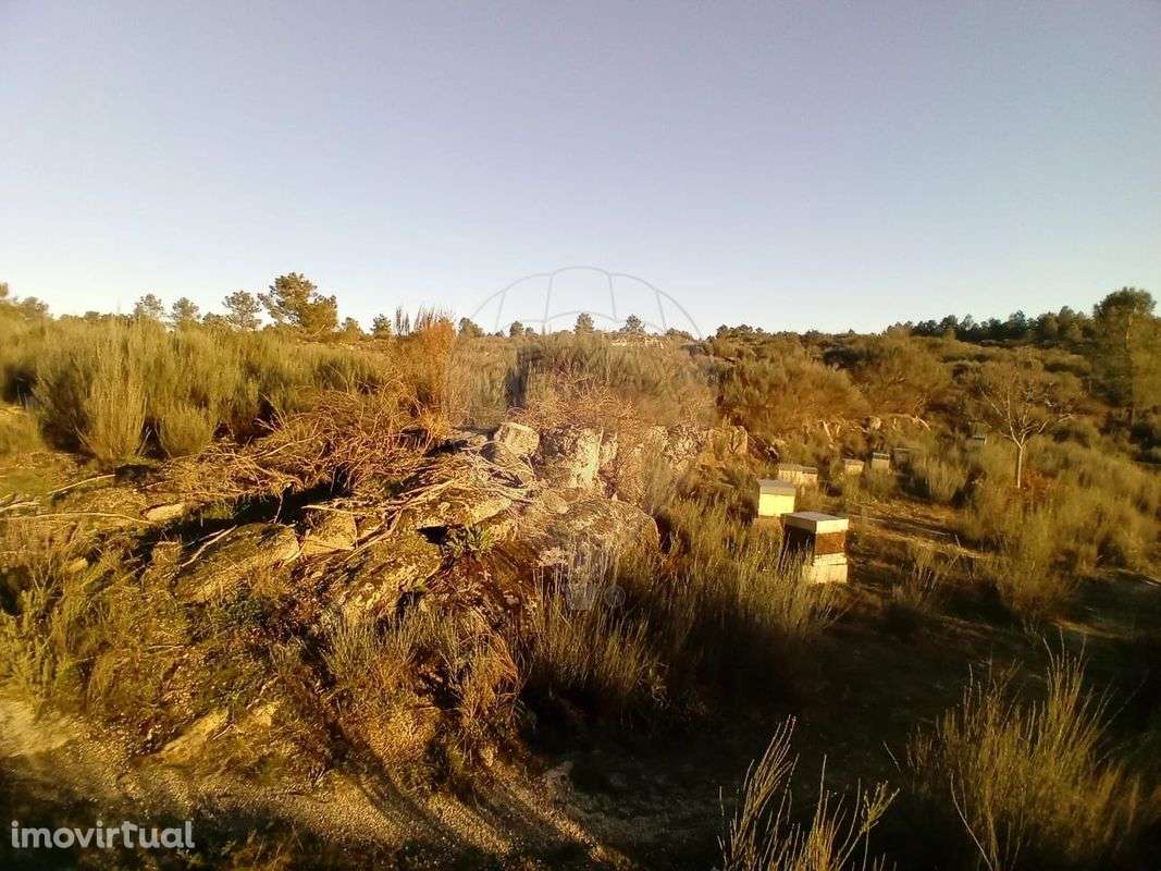 Terreno  para venda - Grande imagem: 2/5
