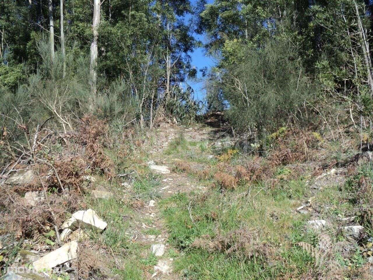 Terreno / Marco de Canaveses, Sande e São Lourenço - Grande imagem: 3/6