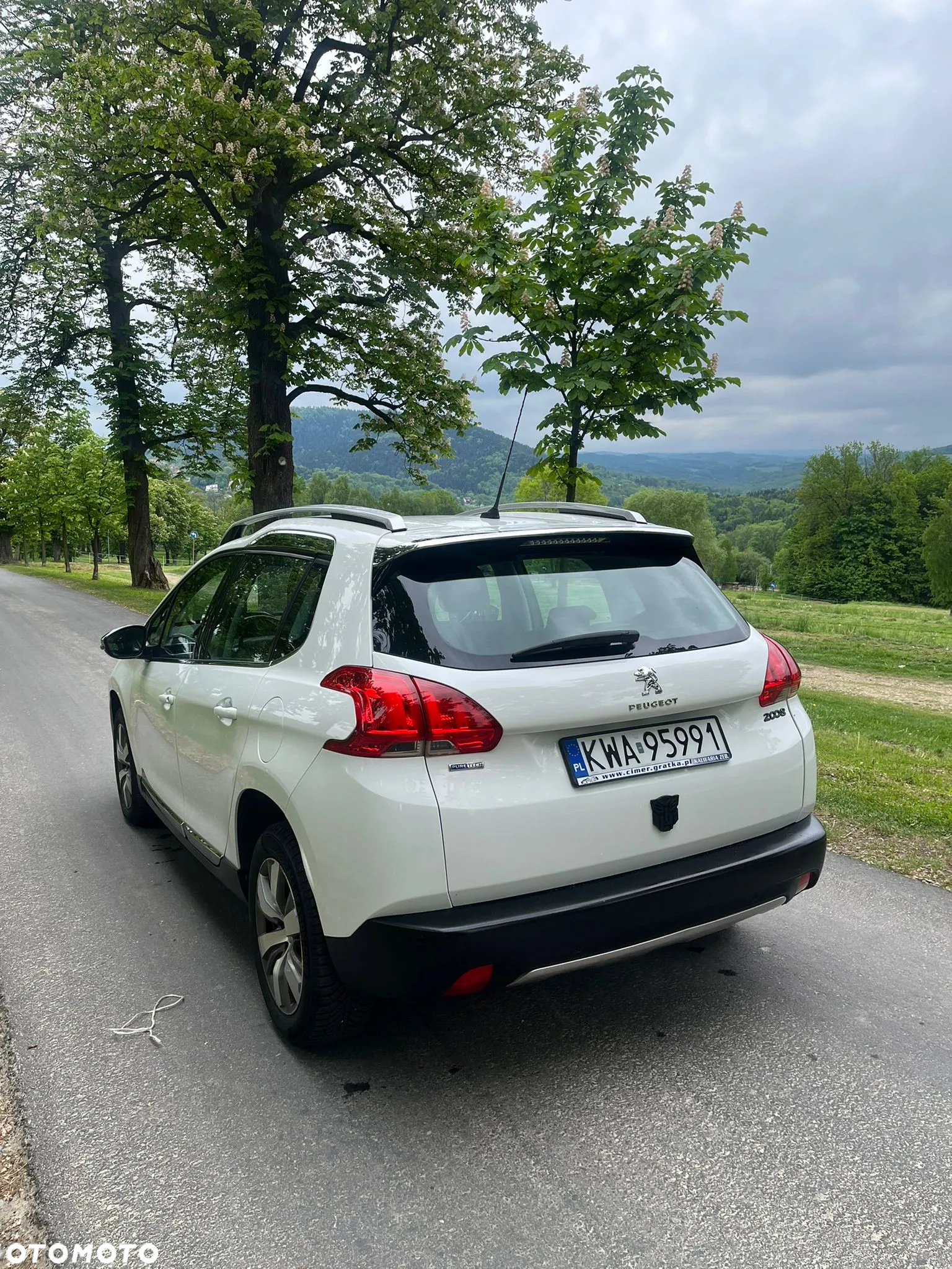 Peugeot 2008 1.2 Pure Tech Style EU6 - 5