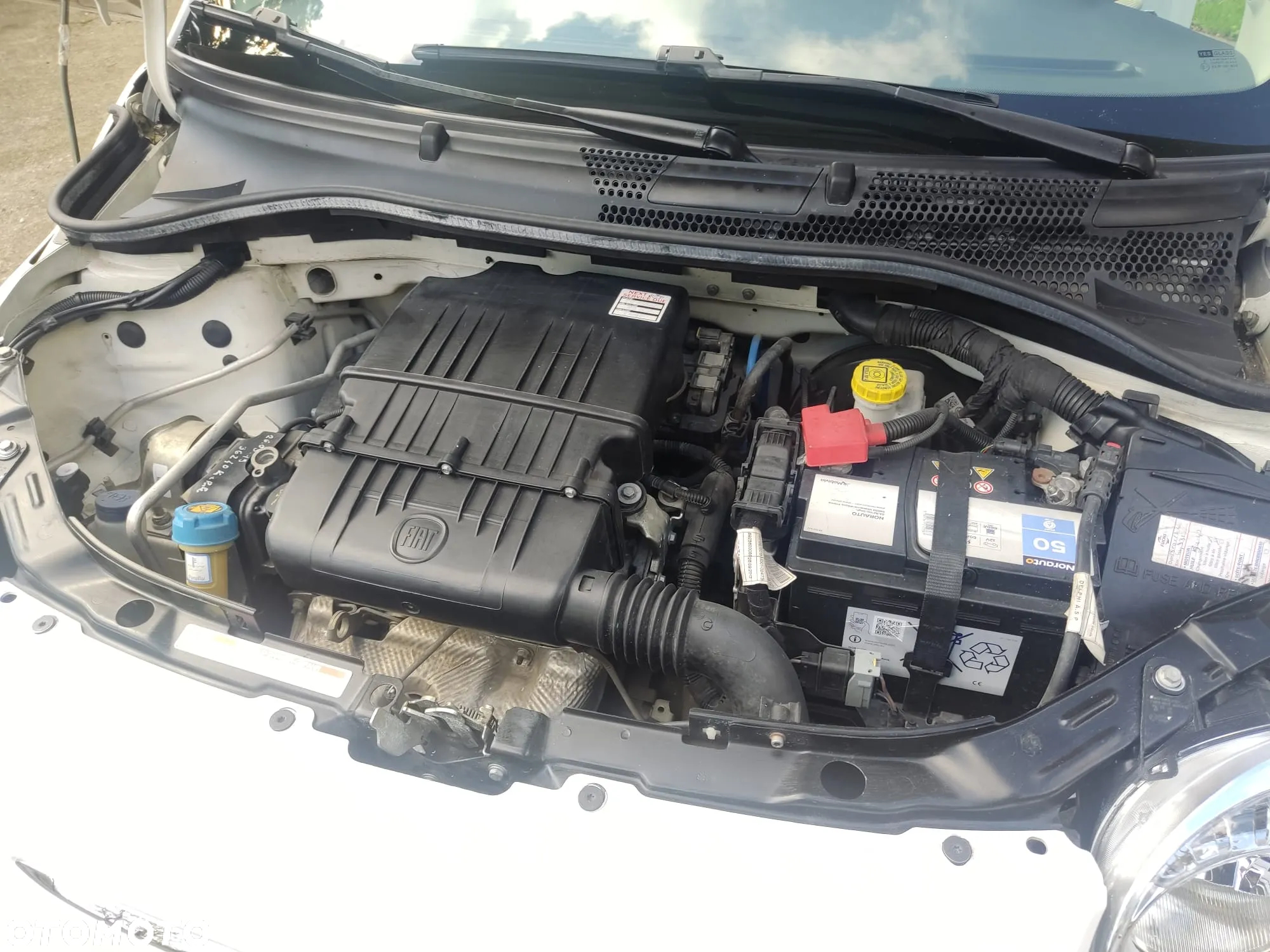 Fiat 500 - 13