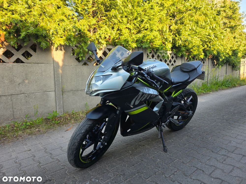 Kawasaki Ninja - 2