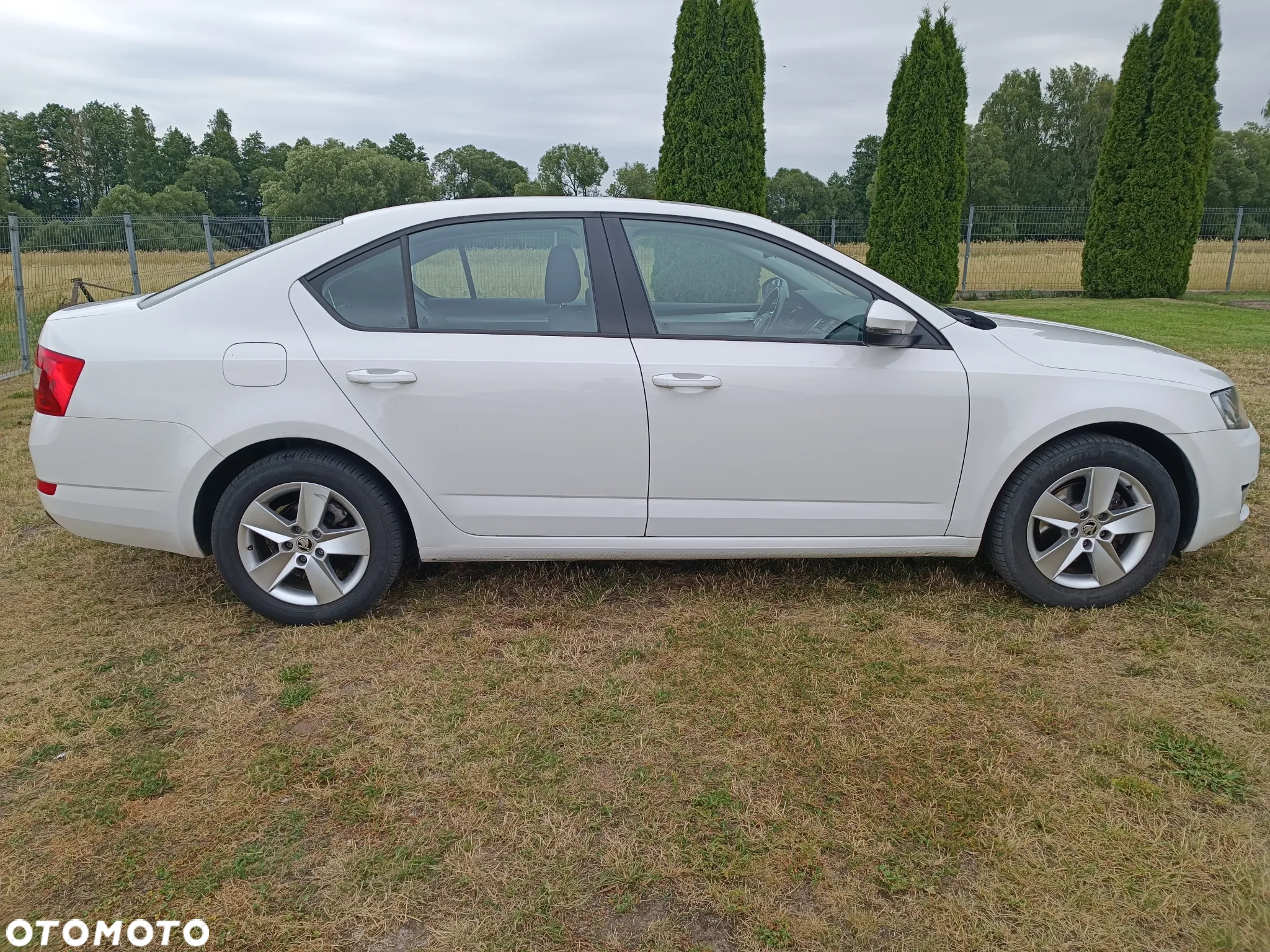 Skoda Octavia - 3