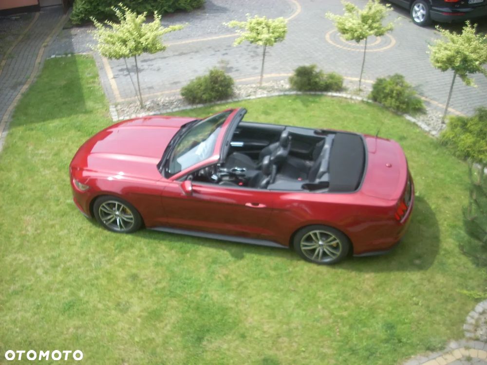 Ford Mustang 2.3 EcoBoost - 10