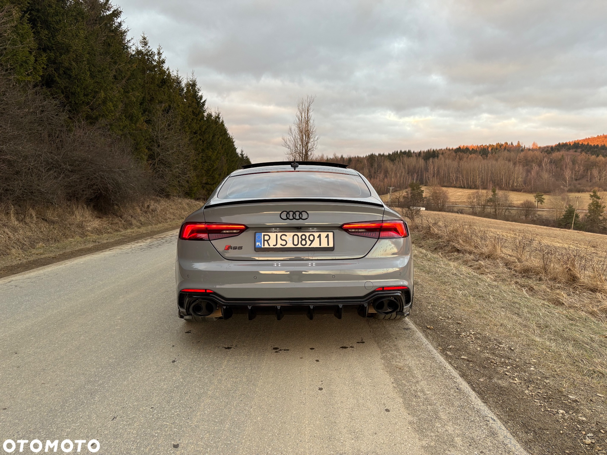 Audi RS5 Sportback 2.9 TFSI quattro tiptronic - 13