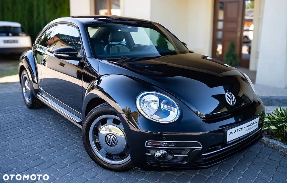 Volkswagen Beetle - 17