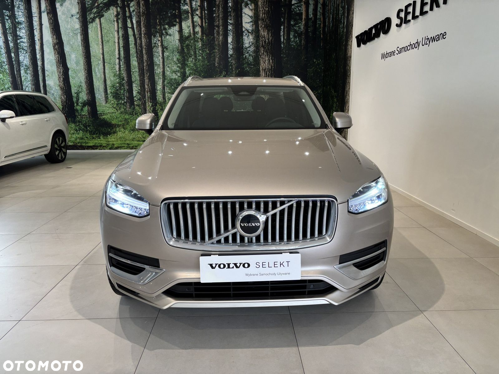 Volvo XC 90 - 9