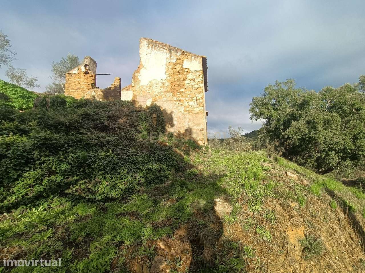 Casa para Recuperar em Vila de Rei, Castelo Branco - Grande imagem: 5/26