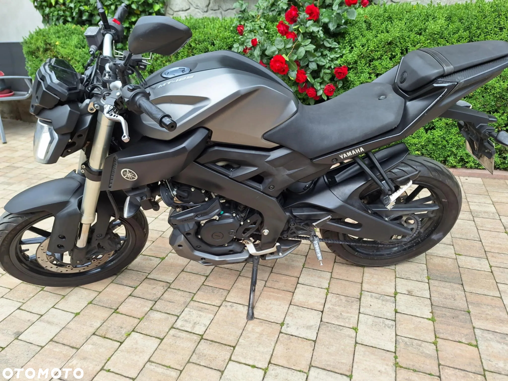 Yamaha MT - 3