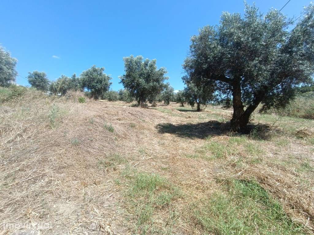 Terreno para construção - Grande imagem: 2/6