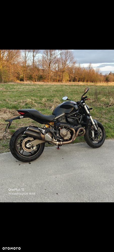 Ducati Monster - 14
