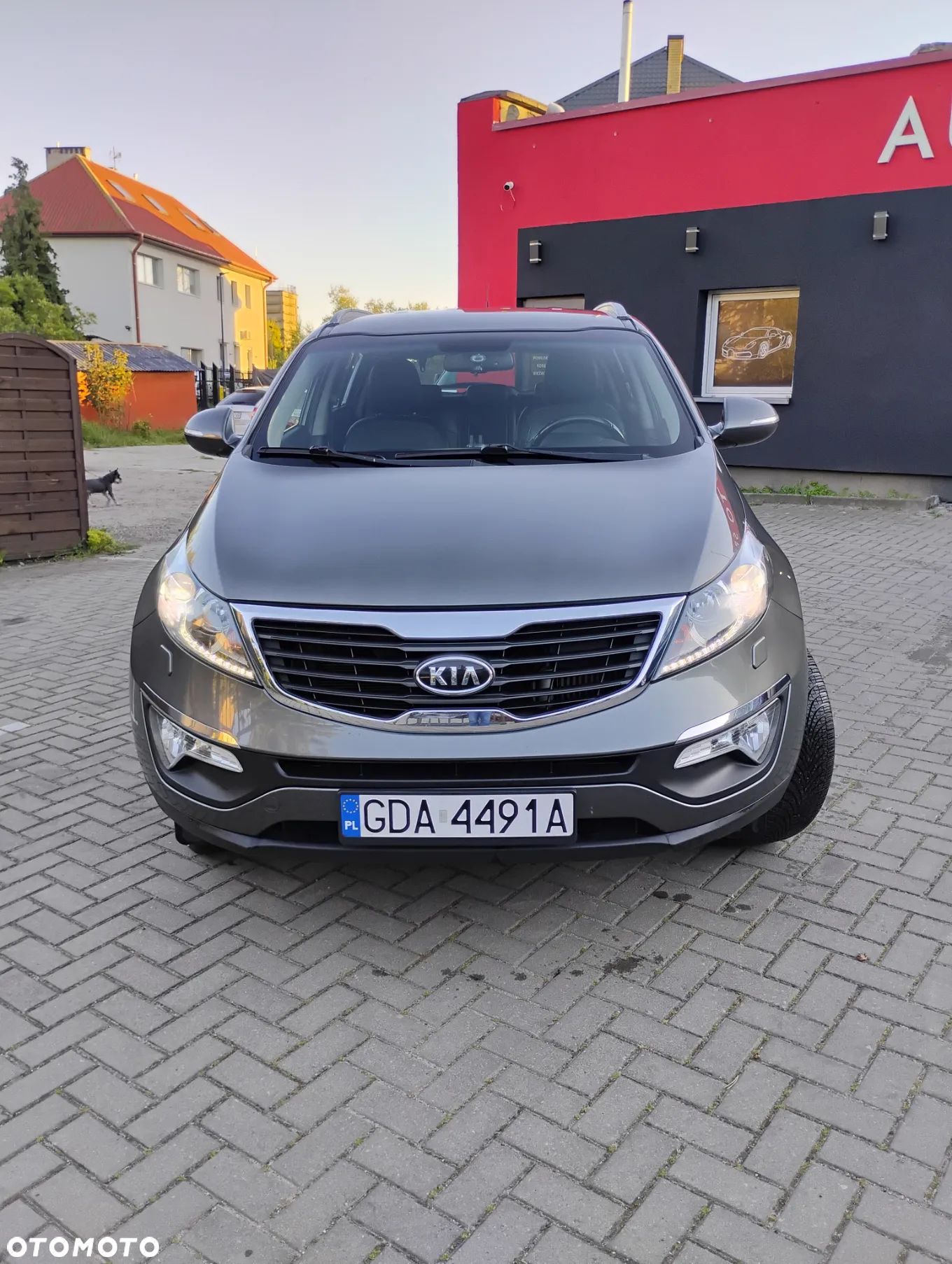 Kia Sportage - 1