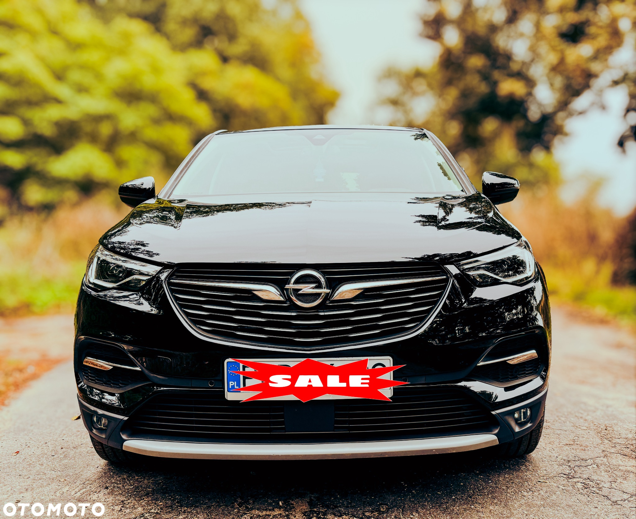 Opel Grandland X 1.2 Start/Stop Automatik Business Edition - 3