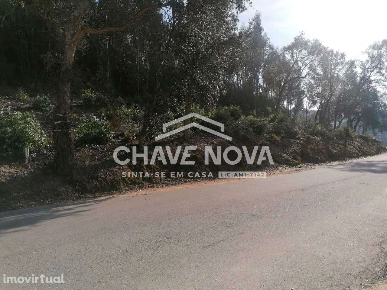 Terreno Para Construção de 2 Moradias Geminadas em Perosinho - Grande imagem: 3/11