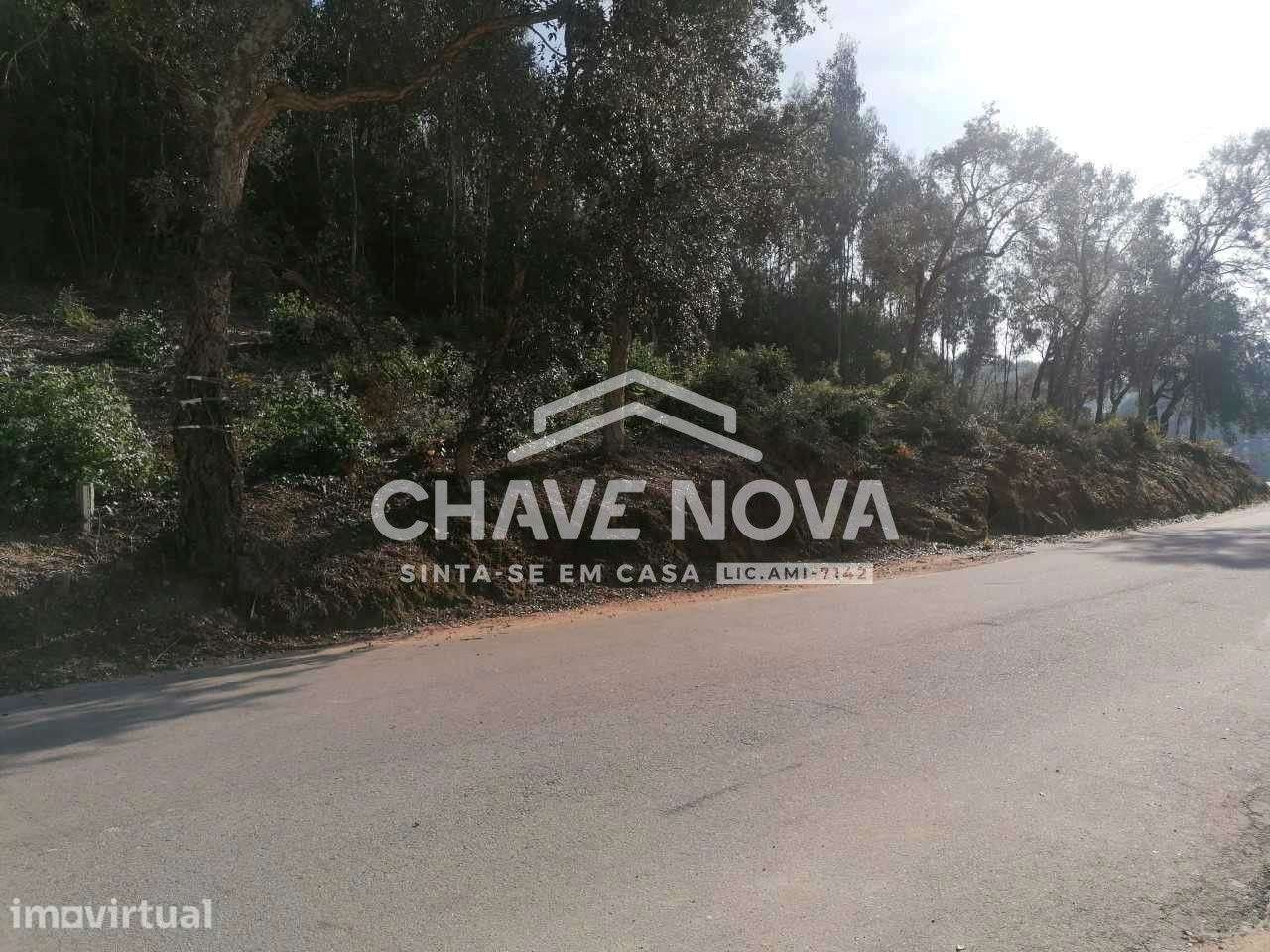 Terreno Para Construção de 2 Moradias Geminadas em Perosinho - Grande imagem: 3/11