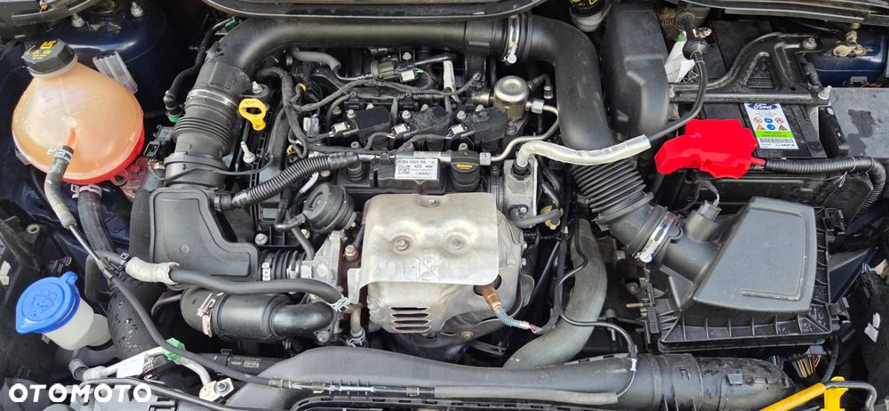 Ford Fiesta - 39