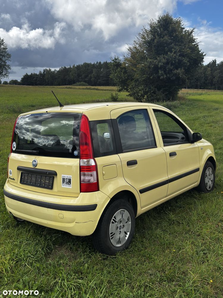 Fiat Panda - 2