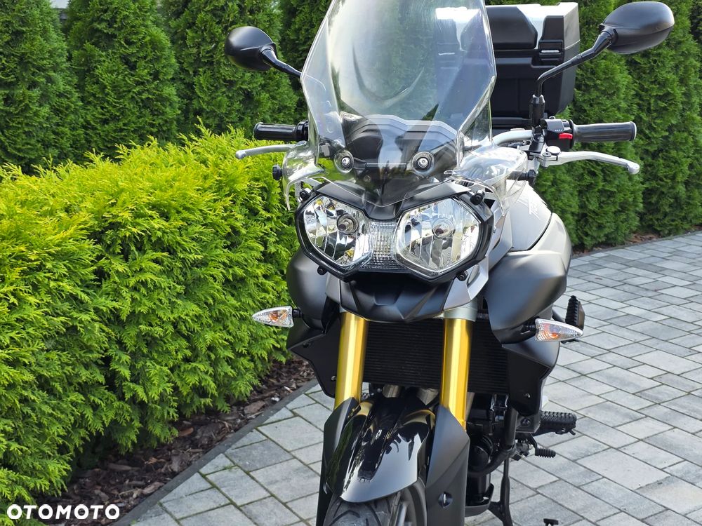 Triumph Tiger - 29