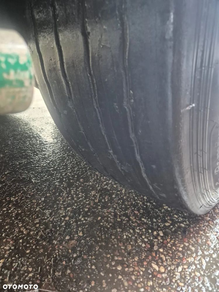 Benalu Wywrotka - 38