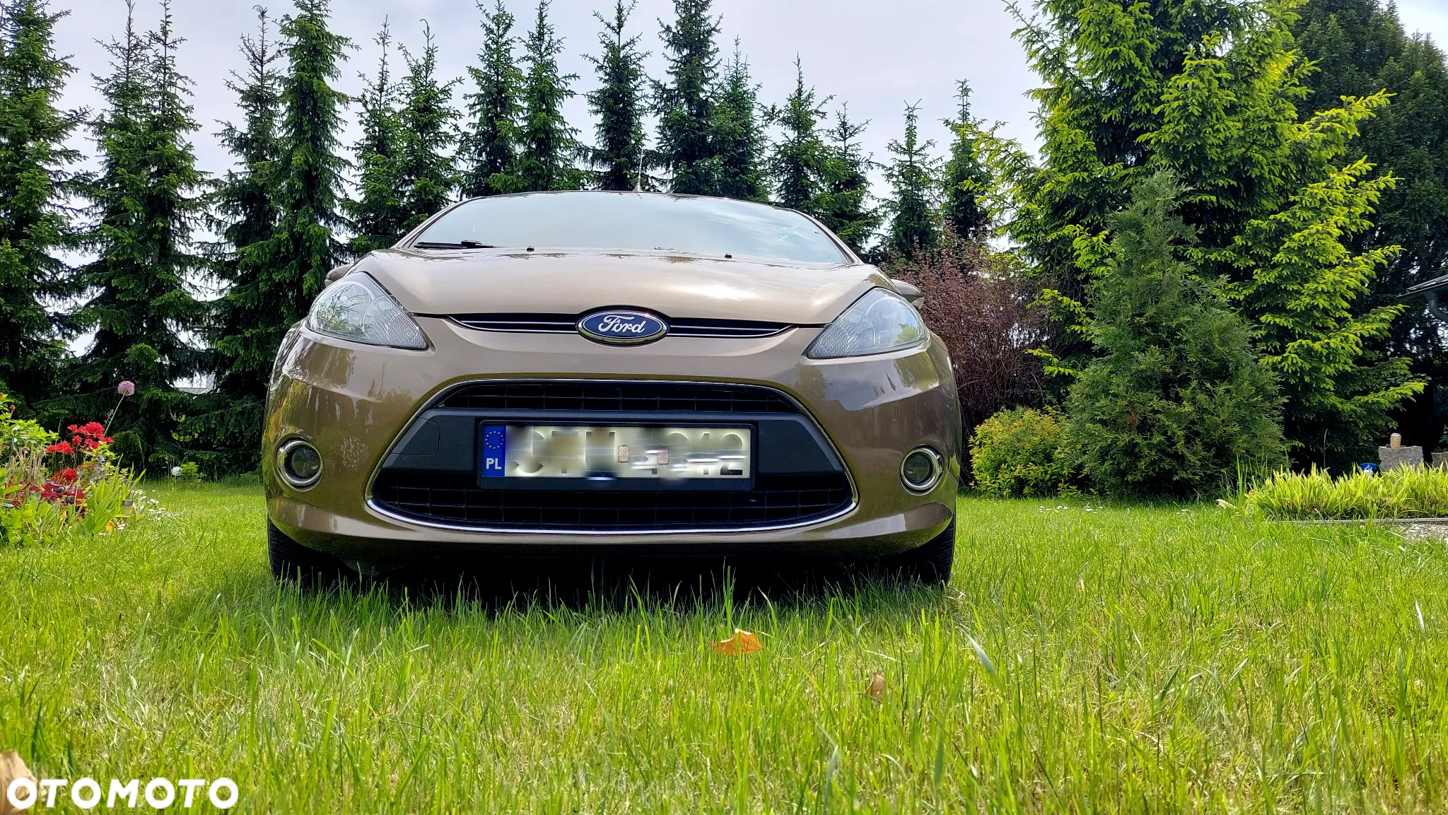 Ford Fiesta - 7