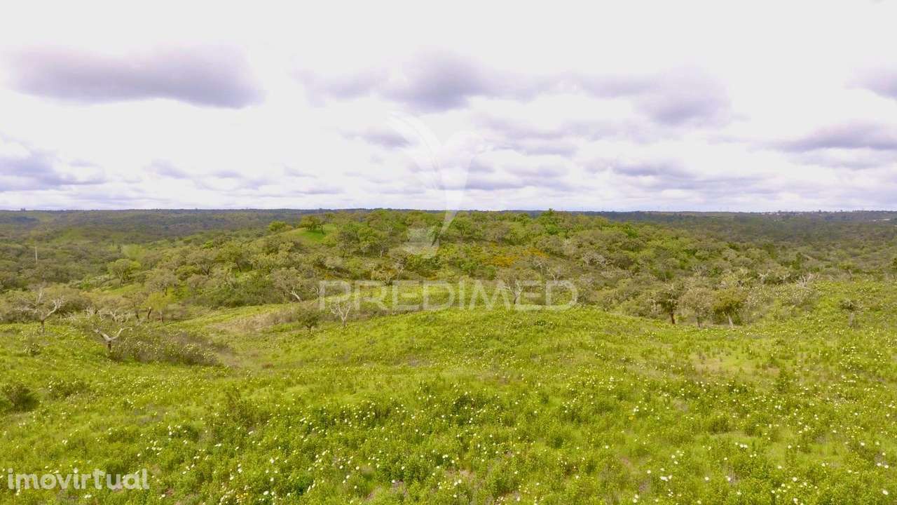 Terreno Rustico com 8.5 hectares - Grande imagem: 4/32
