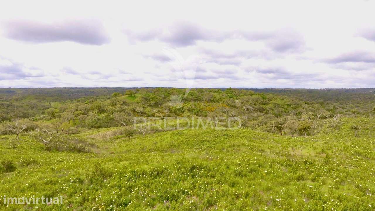 Terreno Rustico com 8.5 hectares - Grande imagem: 5/30