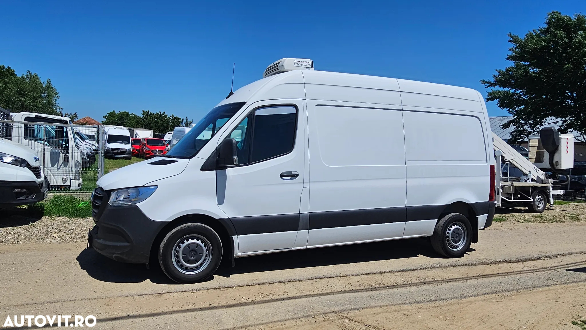 Mercedes-Benz Sprinter Frigorific Thermoking - 7