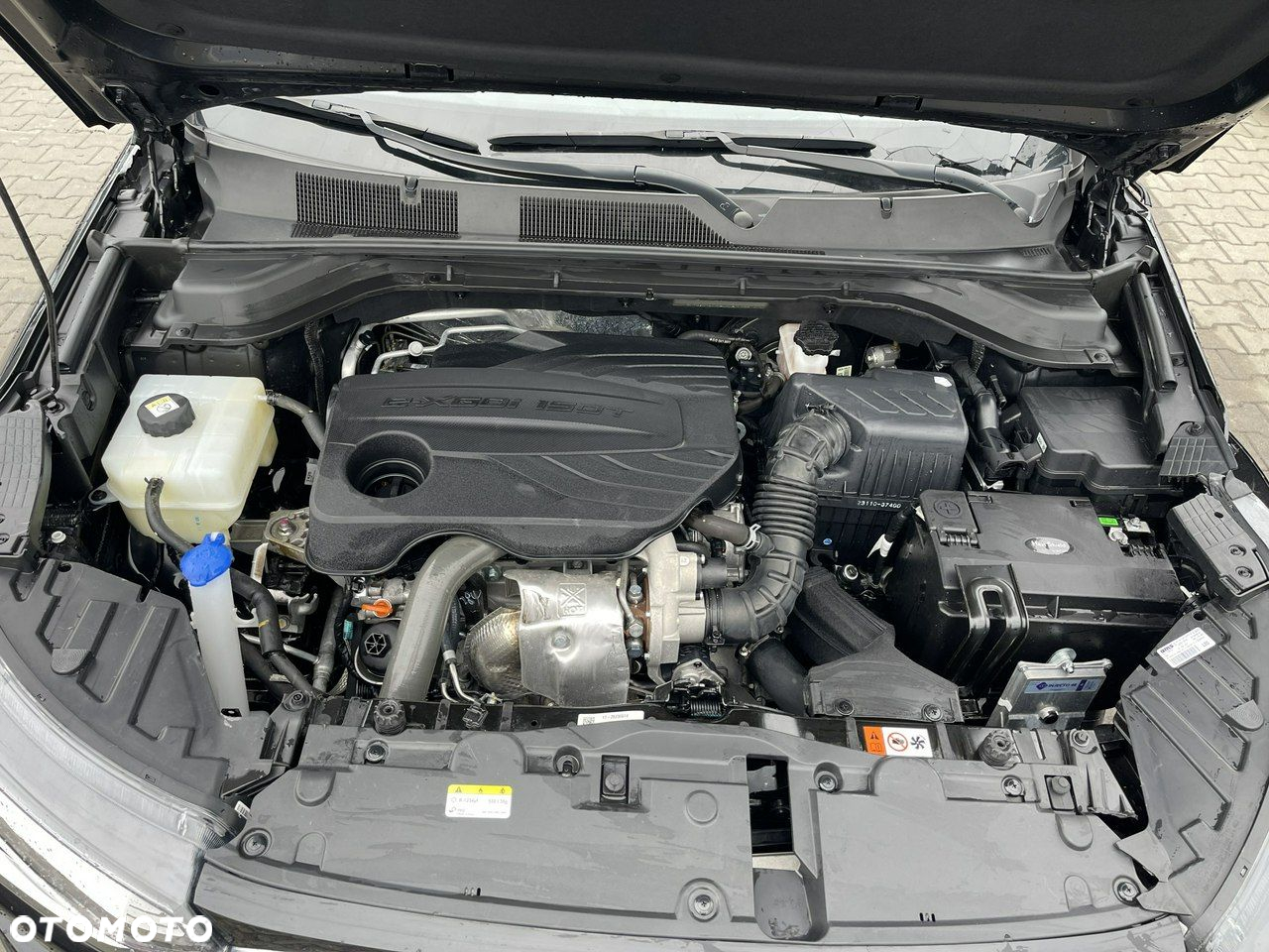 SsangYong/KGM Korando - 10