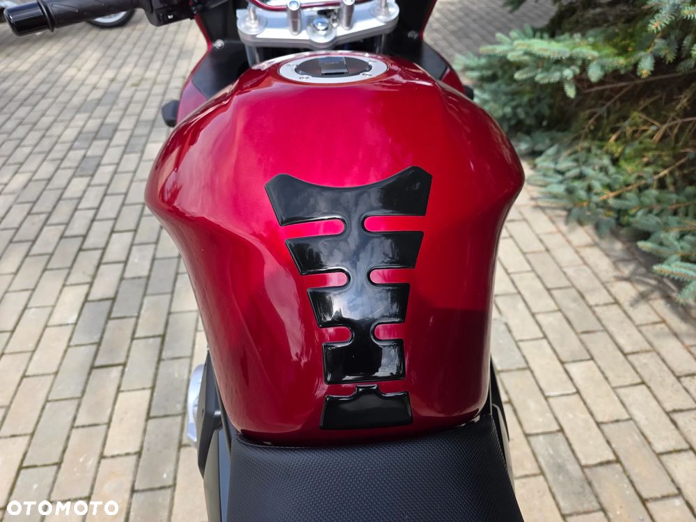 Suzuki Bandit - 24