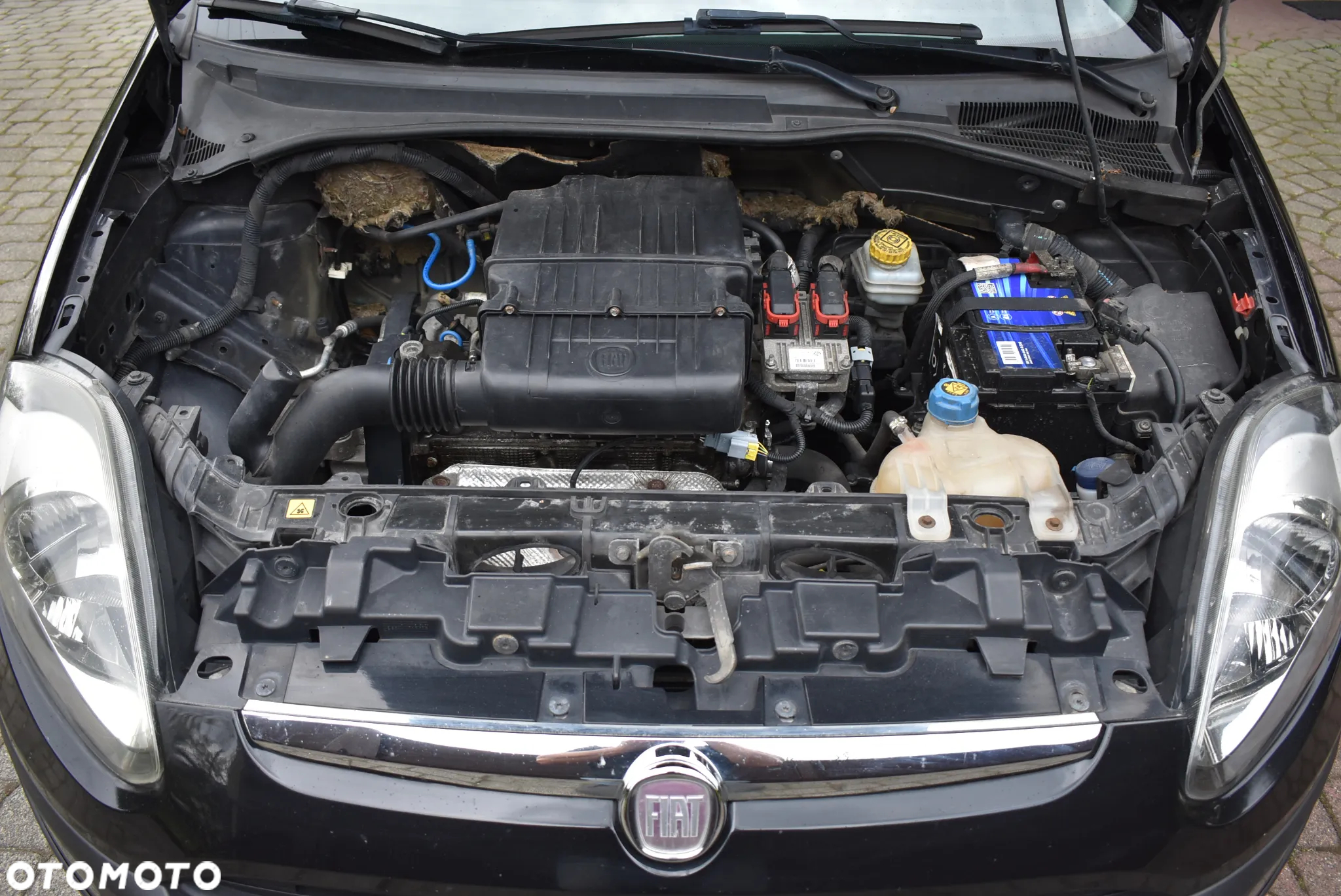 Fiat Punto Evo - 26