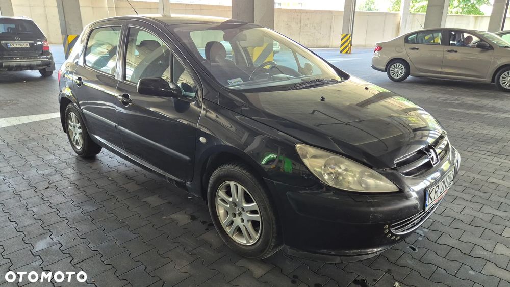 Peugeot 307 1.6 Mistral - 4