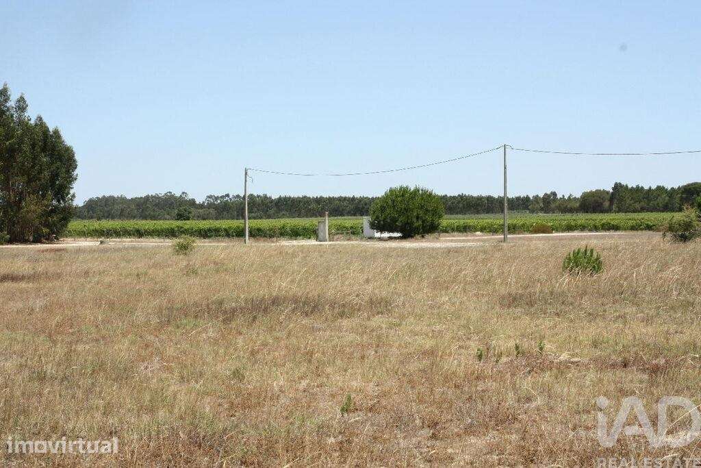 Terreno para construção T5 em Pegões de 2662,00 m2 - Grande imagem: 3/30