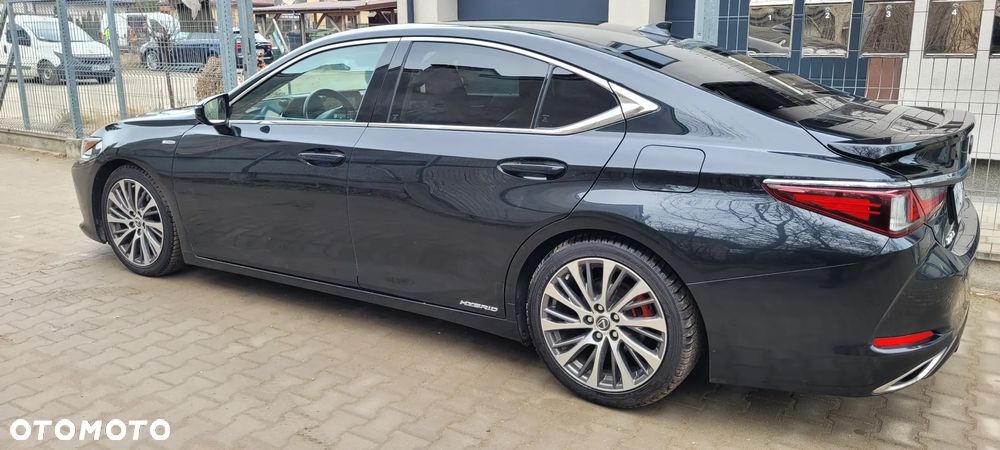 Lexus ES 300h Business Edition + - 16