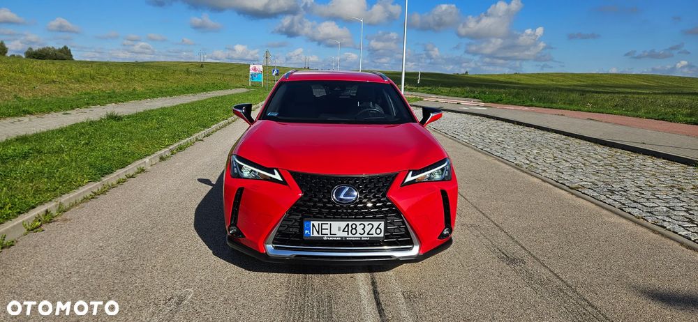 Lexus UX 250h Elegance 2WD - 2