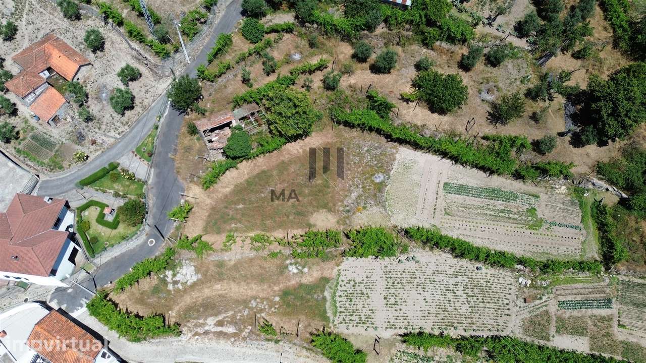 1350 M2 | VISTAS DOURO | C/ RUINA - Grande imagem: 5/9