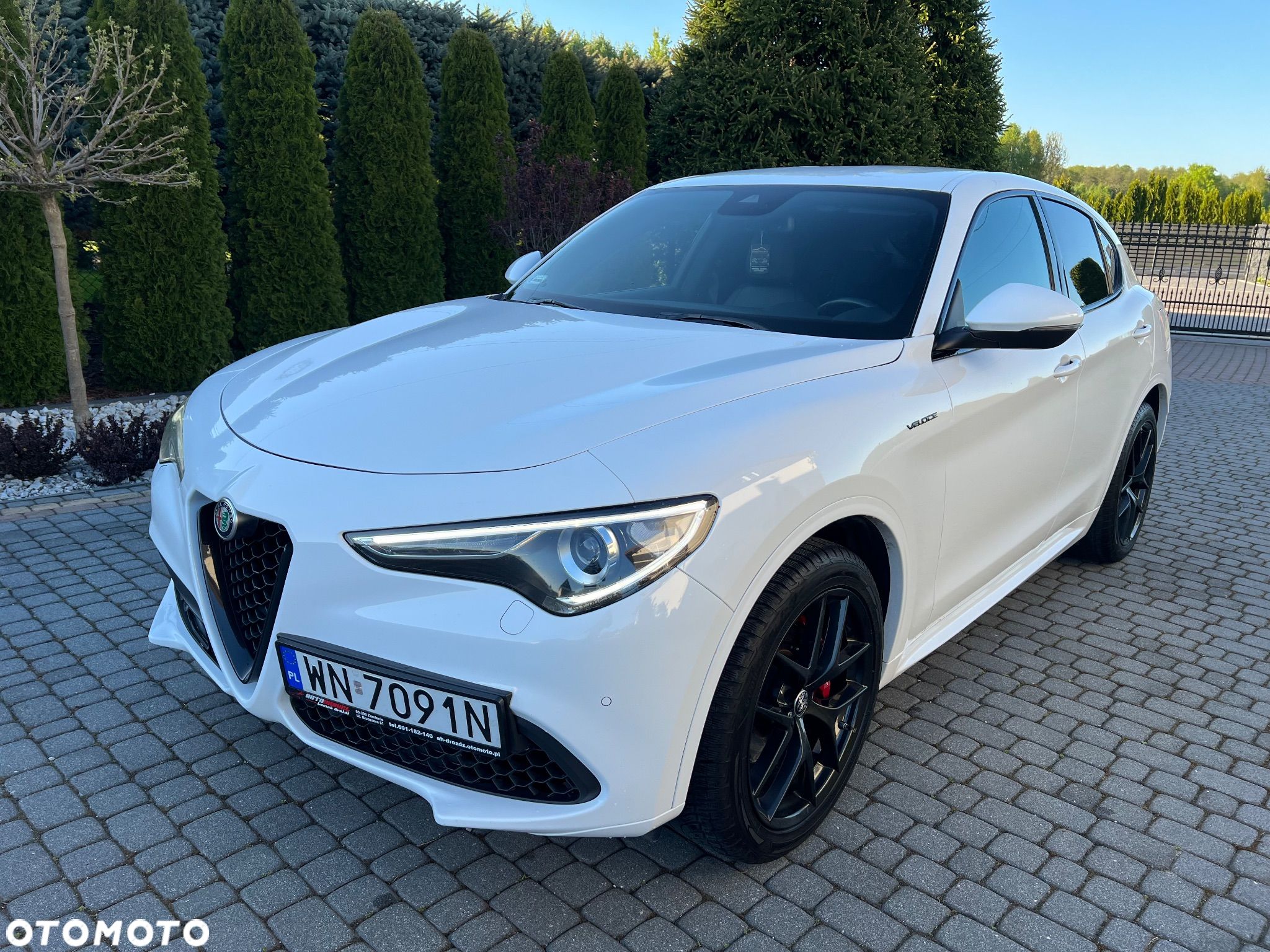 Alfa Romeo Stelvio 2.0 Turbo Veloce Q4 - 1